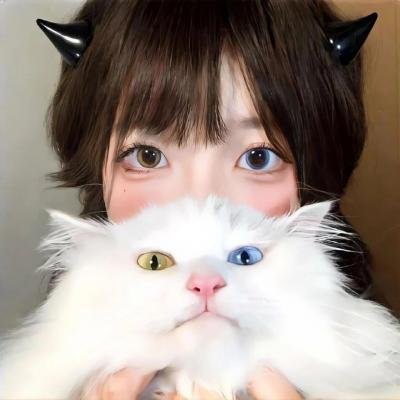 几度菊花香